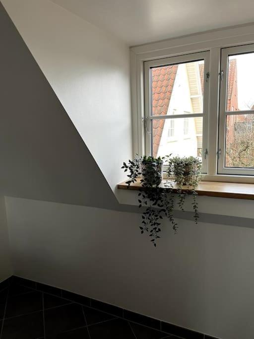 Lys Nyrenoveret Lejlighed I Odense C Apartment Exterior foto